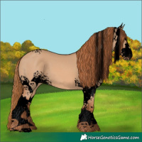 Horse Color:Void White Spotted Red Dun 