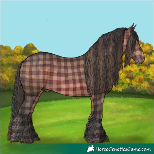 Horse Color:Plaid  Brown 