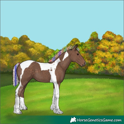 Horse Color:Painted Silver Black Tobiano 