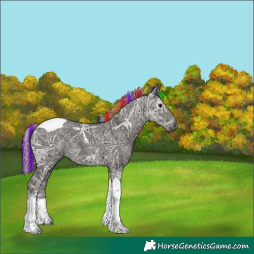 Horse Color:Gray Painted Silver Black Ice Tobiano 
