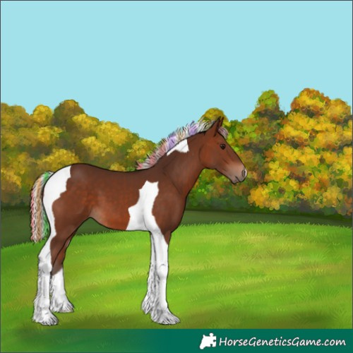 Horse Color:Painted Silver Brown Tobiano 
