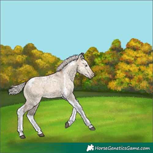 Horse Color:Silver Brown Ice Dun Tobiano 