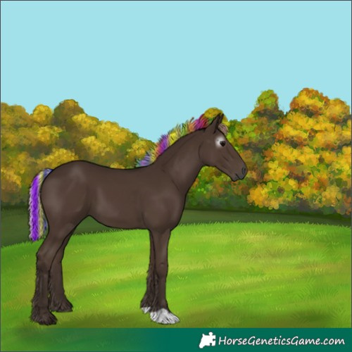 Horse Color:Gray Painted Silver Black 