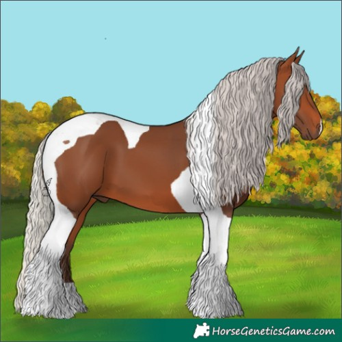 Horse Color:Silver Brown Tobiano 