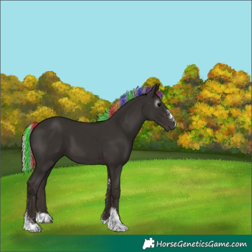 Horse Color:Gray Painted Silver Black Sabino 