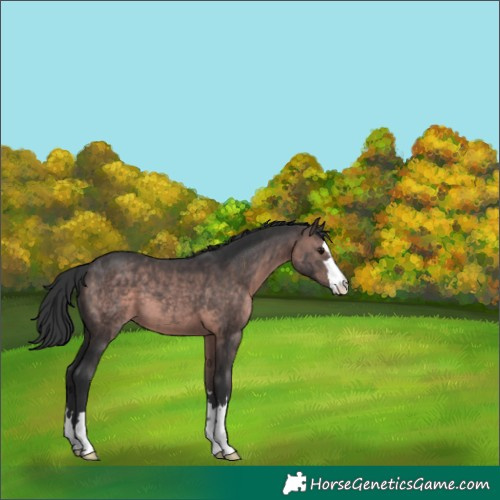 Horse Color:Platinum Brown 