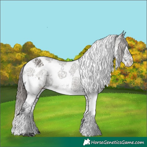 Horse Color:Grullo Sabino Splash Tobiano Appaloosa Rabicano 