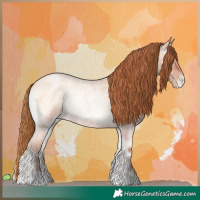 Horse Color:Bay Roan Pearl Onyx 