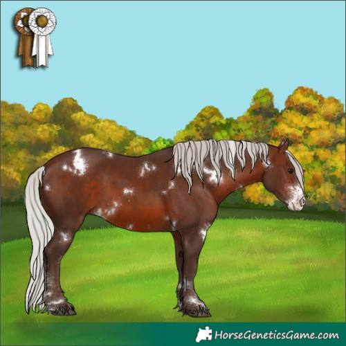 Horse Color:White Spotted Silver Brown Sabino 