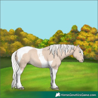 Horse Color:Silver Perlino Tobiano 