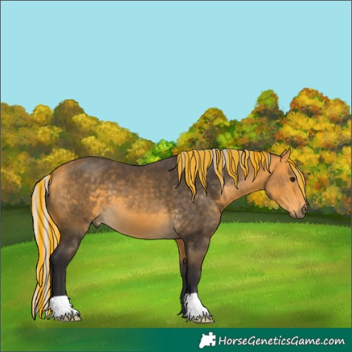 Horse Color:Painted Silver Buckskin 