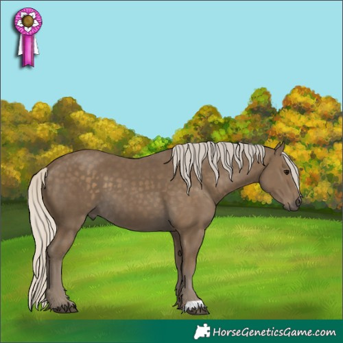 Horse Color:Silver Smoky Black 