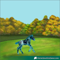 Horse Color:ERROR: UNKNOWN ANOMALY