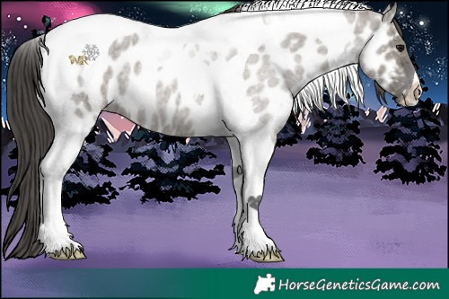 Horse Color:Grullo Roan Tobiano Near Leopard 