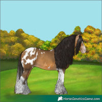 Horse Color:Gray Amber Cream Champagne Splash Tobiano Appaloosa 