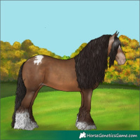 Horse Color:Gray Amber Champagne Tobiano Varnish 
