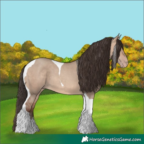 Horse Color:Sable Champagne Dun Tobiano 