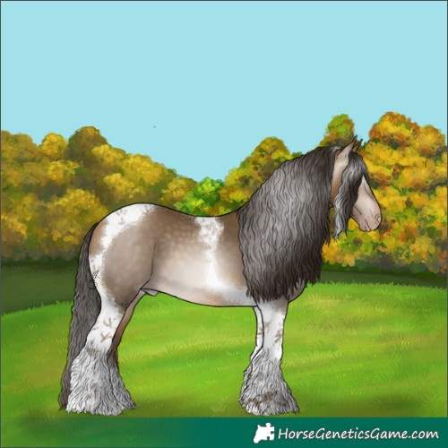 Horse Color:Gray Amber Cream Champagne Tobiano Appaloosa 