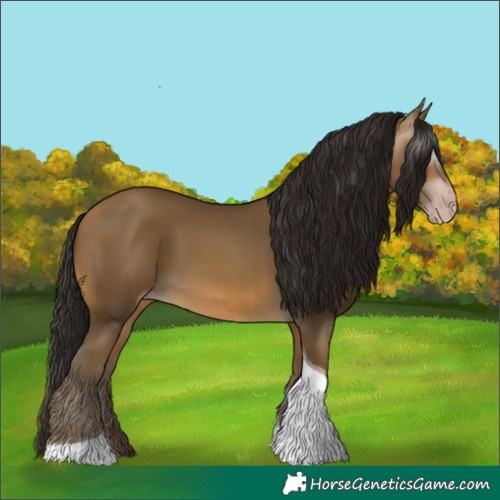 Horse Color:Gray Sable Cream Champagne Tobiano 