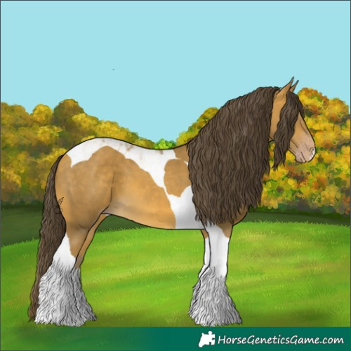 Horse Color:Sable Cream Champagne Tobiano 