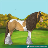 Horse Color:Sable Cream Champagne Tobiano 