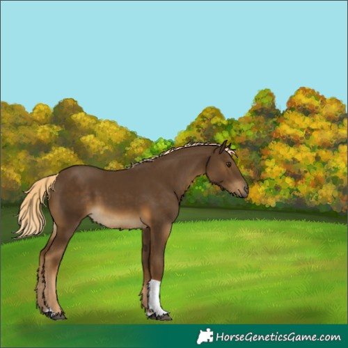 Horse Color:White Spotted Chocolate Palomino Tobiano 
