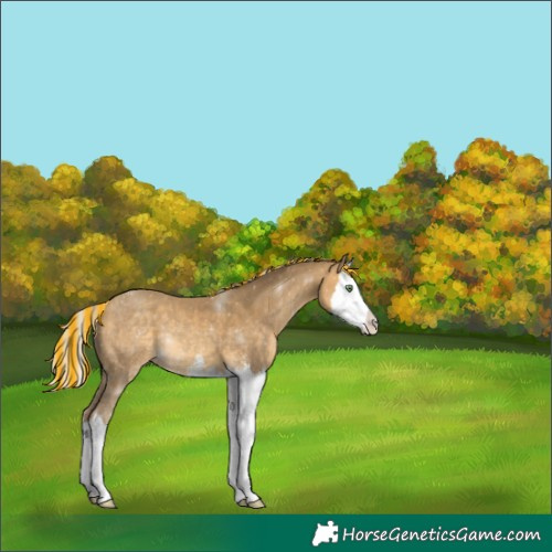 Horse Color:Painted Silver Sable Cream Champagne Sabino Splash 