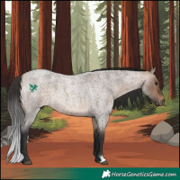 Horse Color:Bay Roan Dun 
