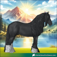 Horse Color:Black 