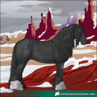 Horse Color:Black 