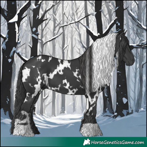 Horse Color:White Spotted Black 