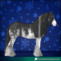 Horse Color:White Spotted Black 