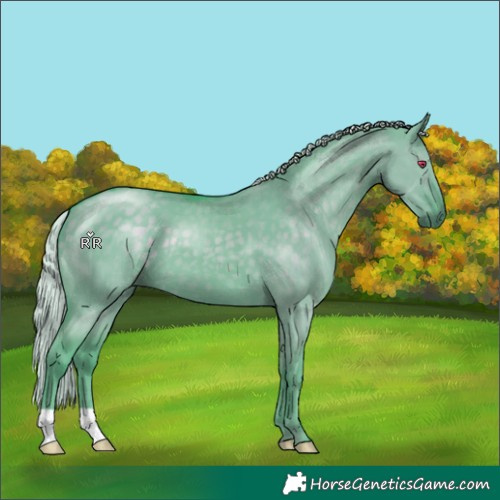 Horse Color:Watercolor Silver Smoky Grullo Chinchilla 