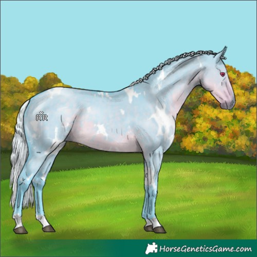 Horse Color:Watercolor White Spotted Silver Smoky Grullo Chinchilla Brindle 
