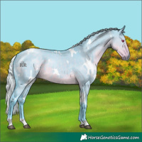 Horse Color:Watercolor White Spotted Silver Smoky Grullo Chinchilla Brindle 