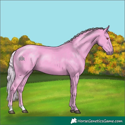 Horse Color:Watercolor Silver Smoky Black Chinchilla 