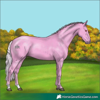 Horse Color:Watercolor Silver Smoky Black Chinchilla
