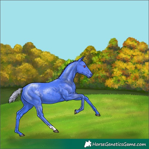 Horse Color:Watercolor Silver Smoky Black Chinchilla 