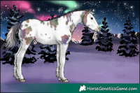 Horse Color:Nacre White Spotted Grullo Splash 