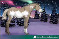 Horse Color:Silver Smoky Grullo Frame