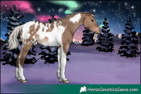 Horse Color:Silver Brown Dun Tobiano Appaloosa 