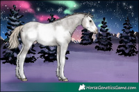 Horse Color:Silver Smoky Grullo Roan Sabino Splash Frame
