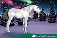 Horse Color:Nacre Grullo Roan Splash 