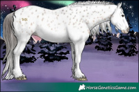 Horse Color:Brown Roan Dun Splash Leopard Rabicano 