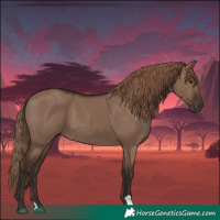 Horse Color:Liver Red Dun 