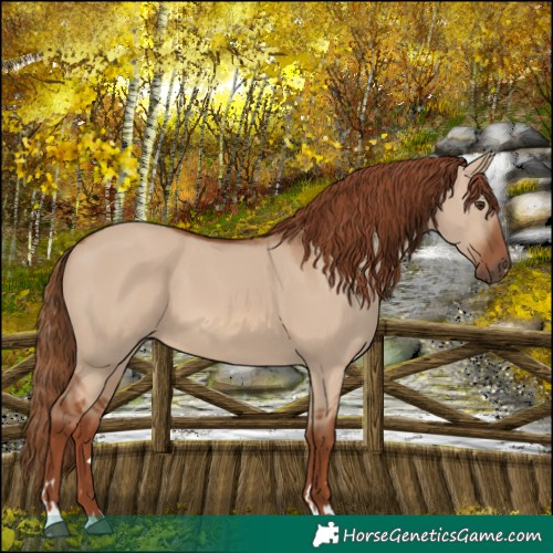 Horse Color:Red Dun 