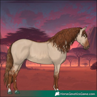 Horse Color:Red Dun 