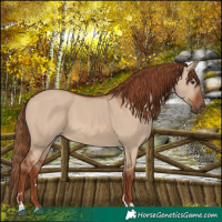 Horse Color:Red Dun 