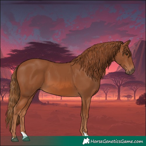 Horse Color:Chestnut 