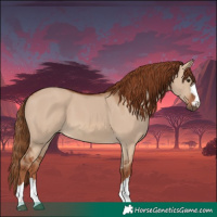 Horse Color:Red Dun 